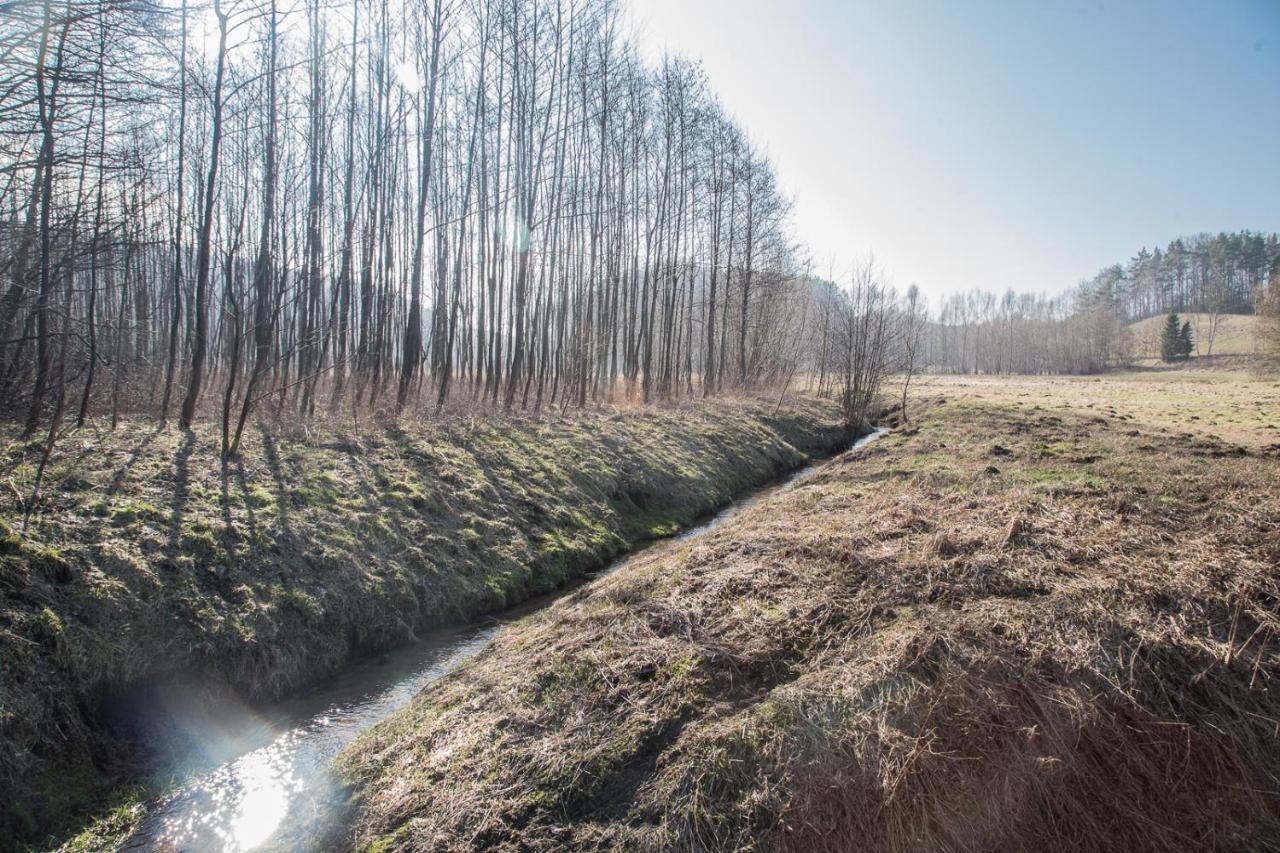 Domki Przystanek Drzewina ภายนอก รูปภาพ
